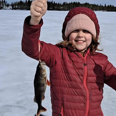 Luxury Aurora Glass Igloo, Hot Tub & Sauna シャレー ロヴァニエミ