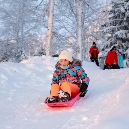 Chalet Luxury Aurora Glass Igloo, Hot Tub & Sauna *