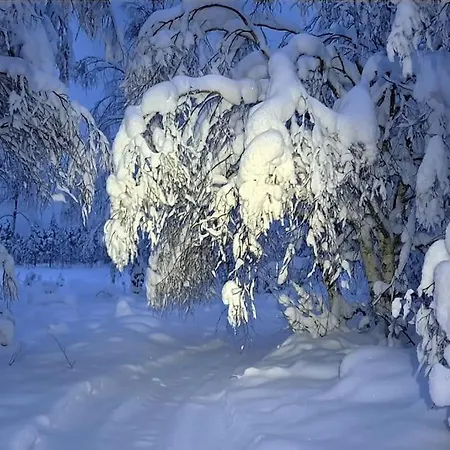 Luxury Aurora Glass Igloo, Hot Tub & Sauna Chalet *