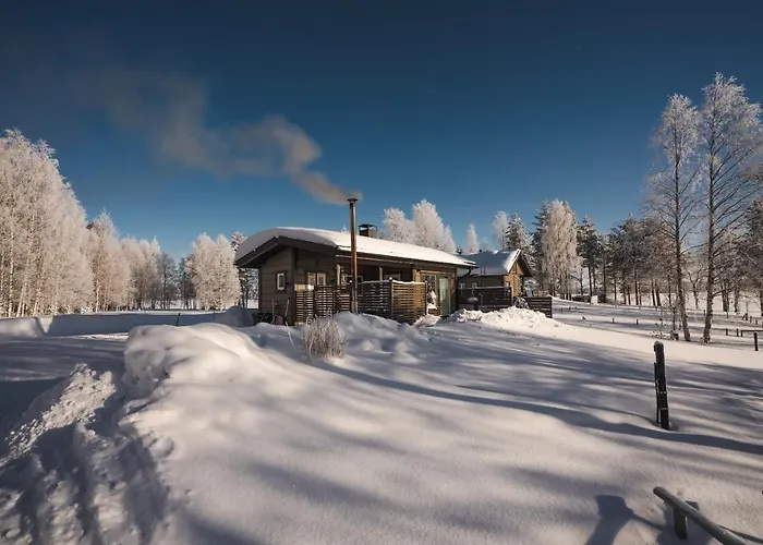 Luxury Aurora Glass Igloo, Hot Tub&sauna Chalet *