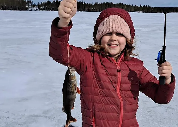 Luxury Aurora Glass Igloo, Hot Tub & Sauna Alpesi faház Rovaniemi