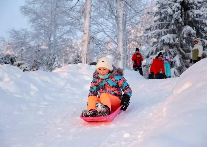 Alpesi faház Luxury Aurora Glass Igloo, Hot Tub & Sauna *