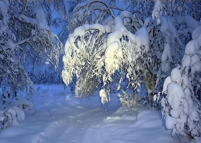 Luxury Aurora Glass Igloo, Hot Tub & Sauna Alpesi faház *