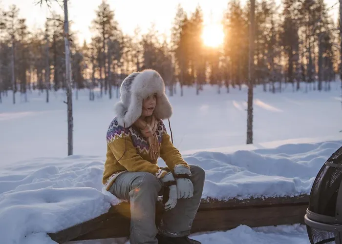 Luxury Aurora Glass Igloo, Hot Tub&sauna Chalet Rovaniemi